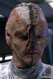 Gallery Image Borg Species 6339<br>Image 1