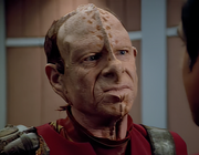 Gallery Image DITL Species No. 153<br>Image 1