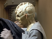 Gallery Image DITL Species No. 156<br>Image 1