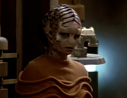 Gallery Image DITL Species No. 303<br>Image 1