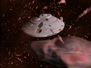 Gallery Image Space Shrimp<br>Image 1