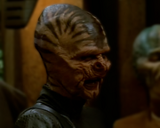 Gallery Image DITL Species No. 1248<br>Image 1