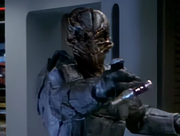 Gallery Image Swarm<br>Image 1