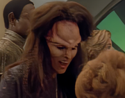 Gallery Image DITL Species No. 1255<br>Image 1