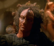 Gallery Image Jal Tersa