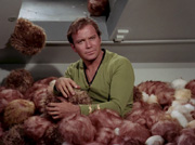 Starship image Tribbles