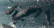 Starship image Constitution Class