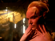 Gallery Image DITL Species No. 298<br>Image 1