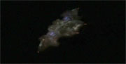 Starship image Vaadwuar Ship 2