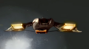 Starship image Vidiian Ship 2