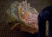 Gallery Image Voth<br>Image 3