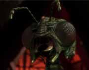 Starship image Xindi Insectoids