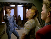 Gallery image General Image #117