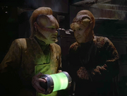 Gallery image General Image #119