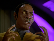 Gallery image General Image #102